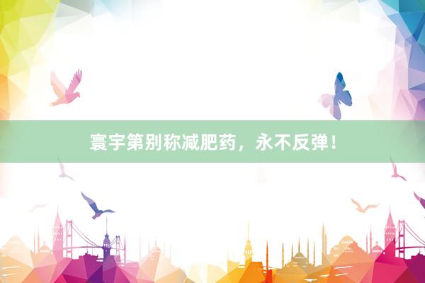 寰宇第别称减肥药，永不反弹！